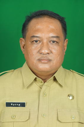 AGUNG WAHYU WIDIYATMOKO, SE